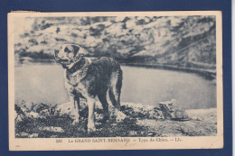 CPA 1 Euro Chien Saint Bernard Dog Circulée Prix De Départ 1 Euro - Hunde