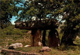 N°42052 Z -cpsm Draguignan -la Pierre Aux Fées- - Dolmen & Menhirs