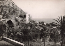 FRANCE - Menton - Frontière Franco-italienne - Le Pont Saint Louis - Carte Postale Ancienne - Menton