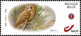 DUOSTAMP/MYSTAMP** - Chouette Hulotte/Bosuil/Waldkauz/Tawny Owl - Erpent 2023 - 20ans/jaar ABCP - BUZIN - Autocollant - Mint