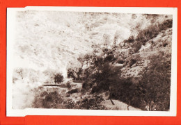 9471 / ⭐ Probablemente Région ALICANTE ? Valle Montaña Jardines Terrazas Arrière-pays Terrasse 1950s Photo15x10 - Other & Unclassified