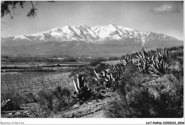 AATP6-66-0495 - Plaine Du Roussillon - Le Canigou - Roussillon