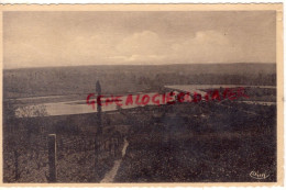 03-  CHATEL DE NEUVRE - PONT SUR L' ALLIER VU DES VIGNES - Otros & Sin Clasificación