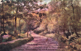 ROYAUME-UNI - Trossachs - Where Twines The Path In Shadow Hid - Vue D'une Allée - Carte Postale Ancienne - Altri & Non Classificati