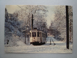 Hiver à Mariemont - Tram - Tramway - Ligne 30 - Morlanwelz