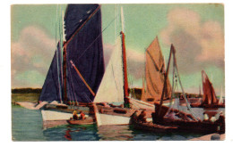 Bateaux De Pêche ; Voiliers - Fishing Boats