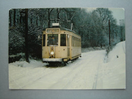 Mariemont - Dans Les Bois De L'Olive - Tram - Tramway - Ligne 30 - Morlanwelz