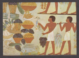 114482/ LUXOR, Sheikh Abd El-Qurna, Tomb Of Noble Nakht (TT52), *Men Bringing Offerings* - Luxor