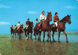 BELGIQUE - Ostende - Promenade à Cheval - Carte Postale - Oostende