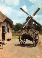 BÂTIMENTS & ARCHITECTURE - Moulins à Vent - Domein Bokrijk Openluchtmuseum - Carte Postale - Moulins à Vent