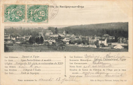 Savigny Sur Orge * Souvenir De La Commune Et Panorama - Savigny Sur Orge