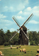 BELGIQUE - Bokrijk - Provinciedomein - Openluchtmuseum - Carte Postale - Sonstige & Ohne Zuordnung