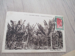 CPA Grande Comores Champs De Bananiers Un TP Madagascar... Cachet 1939 - Comoren