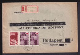 KOLOZSVÁR 1944. Érdekes Ajánlott Boríték Vöröskereszt Bélyegekkel Budapestre - Cartas & Documentos