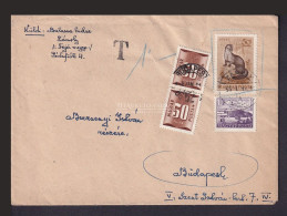 ZÁMOLY 1955. Levél Budapestre Küldve, Portózva - Cartas & Documentos