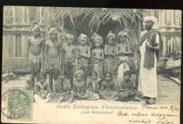 "Les Malabares", Jardin Zoologique D'Acclimatation, Paris, France 1902 , Régi Képeslap - Autres & Non Classés