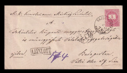 VAJDAHUNYAD 1878. Szép Ajánlott Díjjegyes Boríték Budapestre - Cartas & Documentos