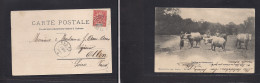 INDOCHINA. 1903 (7 Nov) Single Fkd Sage Issue Photo Card Ppc (buffalos) - Switzerland, Ollon (2 Dec 03) Cancelled French - Autres - Asie