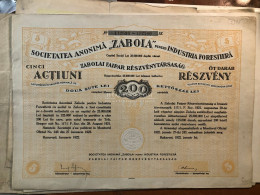 RÉSZVÉNY ZABOLA Faipar 1922. 200L - Non Classificati
