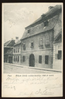 PÁPA 1906. Mátyás Király Vadászkastélya, Régi Képeslap - Ungheria