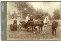 MAROSVÁSÁRHELY 1900.ca. Weinrich Samu : Lovasfogat, Szép és Ritka Cabinet Fotó - Anciennes (Av. 1900)