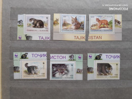 1996	Tajikistan	Cats (F83) - Tadjikistan