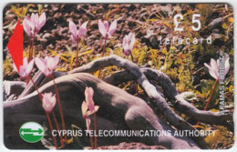 CYPRUS A-206 Magnetic Telecom - Plant, Flower - 16CYPB - Used - Chypre