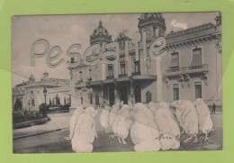 MONACO - CP COCHONS ASSIS DEVANT LE CASINO DE MONTE CARLO - CIRCULEE EN 1903 - Spielbank