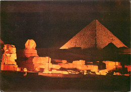 Egypte - Gizeh - Giza - Sound And Light At The Pyramids Of Giza - Son Et Lumière Près Des Pyramides De Gizeh - Vue De Nu - Guiza