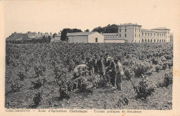 CPA 11 CARCASSONNE / ECOLE D'AGRICULTURE CHARLEMAGNE / TRAVAUX PRATIQUES DE VITICULTURE - Carcassonne