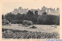 CPA 11 CARCASSONNE / ECOLE D'AGRICULTURE CHARLEMAGNE / TRAVAUX PRATIQUES AGRICOLES - Carcassonne