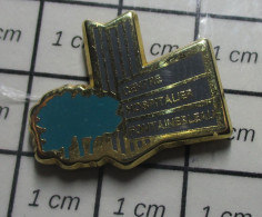 811F Pin's Pins / Beau Et Rare / MEDICAL / CENTRE HOSPITALIER FONTAINEBLEAU HOPITAL - Geneeskunde