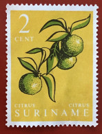 Suriname - National Agricultural Products - 1961 - Suriname