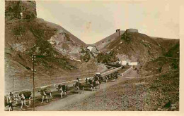 Yémen - Aden - Carte Photo - Animée - CPA - Voir Scans Recto-Verso - Yémen