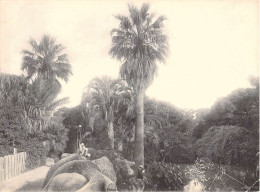 Argentine - Image 23/17 Cm - Image Buenos Aires - Palmier - Homme Qui Lit Au Bord D'un Point D'eau - Other & Unclassified