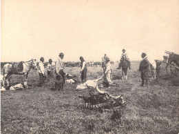 Argentine - Image 23/17 Cm - Image Buenos Aires - Costumbres Del Campo - Hacieda Vacuna - Bétail - Altri & Non Classificati