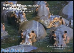 Malawi 2009 Hippopotamuses Of Malawi S/s, Mint NH, Nature - Animals (others & Mixed) - Hippopotamus - Malawi (1964-...)