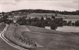 71391 - Friedenfels - Frauenreuth - Ca. 1960 - Tirschenreuth