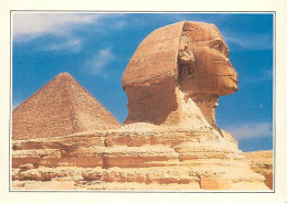 Egypte - Gizeh - Giza - Lion Androcéphale Colossal, Le Sphinx De Gizeh Veille Sur La Grande Pyramide De Kheops. Quelques - Guiza