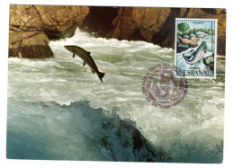 Carte Maximum Espagne Pêche Pêcheur Poisson Fête Du Saumon La Estrada 1983 Salmon Pesca Fishing - Maximum Cards