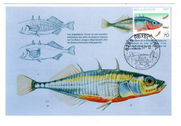 Carte Maximum Suisse Pêche Poisson Epinoche Aiguillonnée Retschwil Pro Jiuventute 1997 Natur Oase Am Baldegger See Fish - Cartes-Maximum (CM)