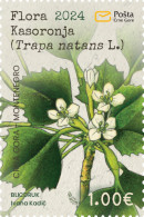 2024 Flora Of Kasoronja (Trapa Natans L.), Montenegro, MNH - Montenegro