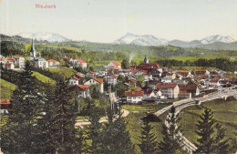 Miesbach - Panorama Gel.1914 - Miesbach