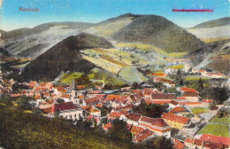 Sainte-Marie-aux-Mines (Markirch) - Panorama Gel.1916 Feldpost - Elsass
