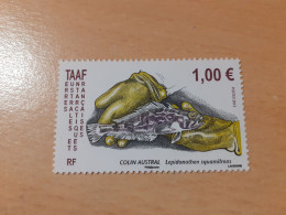 TIMBRE    TAAF     N  641      ANNÉE  2013    NEUF  LUXE** - Unused Stamps