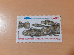 TIMBRE    TAAF     N  690      ANNÉE  2014    NEUF  LUXE** - Unused Stamps