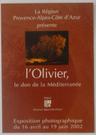 OLIVIER / OLIVE - Don De La Méditerranée - Exposition Photographie - Carte Publicitaire - Árboles