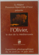 OLIVIER / OLIVE - Don De La Méditerranée - Exposition Photographie - Carte Publicitaire - Alberi