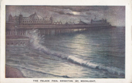 CG24.Vintage Postcard. The Palace Pier, Brighton, By Moonlight. Sussex - Brighton