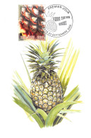 CM - L'ananas (2 Cartes), Oblit 23/9/05 - Maximumkarten